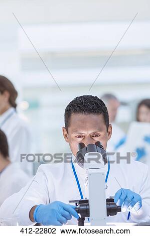 Scientist examining sample under microscope in laboratory View Large Photo Image Stock Image - Scientist examining sample under microscope in laboratory. Fotosearch