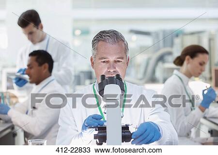 Scientist examining sample under microscope in laboratory View Large Photo Image Stock Image - Scientist examining sample under microscope in laboratory. Fotosearch
