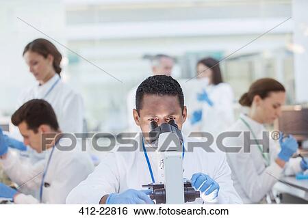 Scientist examining sample under microscope in laboratory View Large Photo Image Stock Photograph - Scientist examining sample under microscope in laboratory. Fotosearch