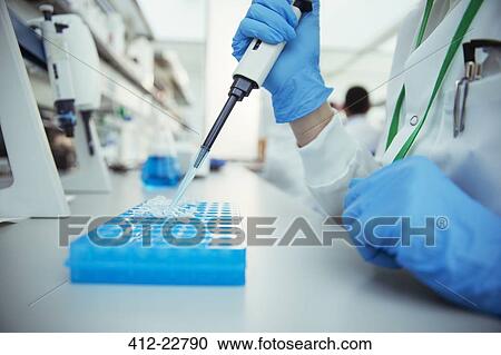 Stock Image - Scientist pipetting samples into tray in laboratory. Fotosearch