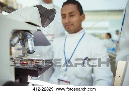 Stock Photo - Scientist with sample under microscope in laboratory. Fotosearch