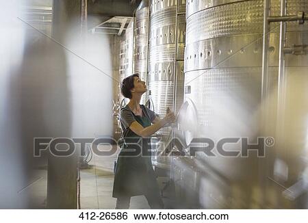 Vintner checking stainless steel vat in winery cellar View Large Photo Image Stock Photograph - Vintner checking stainless steel vat in winery cellar. Fotosearch