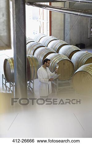 Vintner in lab coat examining white wine in winery cellar View Large Photo Image Stock Photograph - Vintner in lab coat examining white wine in winery cellar. Fotosearch