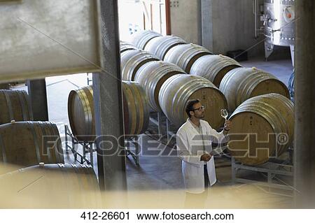 Vintner in lab coat examining wine in winery cellar View Large Photo Image Stock Image - Vintner in lab coat examining wine in winery cellar. Fotosearch