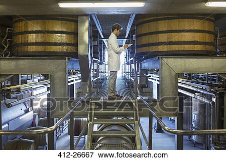 Vintner in lab coat on platform in winery cellar View Large Photo Image Stock Photo - Vintner in lab coat on platform in winery cellar. Fotosearch