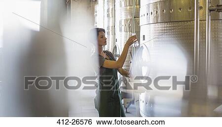 Vintner testing wine from stainless steel vat in winery cellar View Large Photo Image Stock Photograph - Vintner testing wine from stainless steel vat in winery cellar. Fotosearch