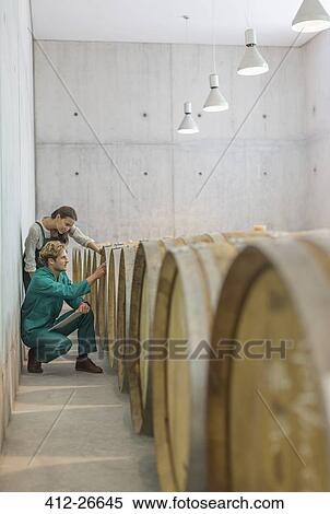 Vintners examining barrels in winery cellar View Large Photo Image Stock Photography - Vintners examining barrels in winery cellar. Fotosearch