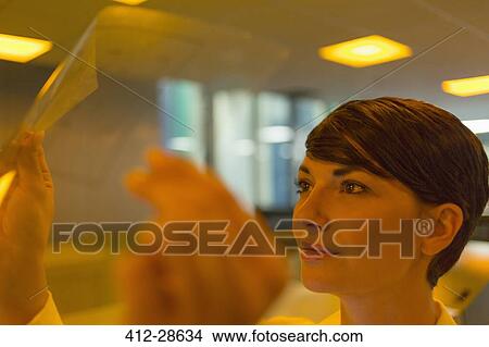 Close up woman examining transparency View Large Photo Image Picture - Close up woman examining transparency. Fotosearch