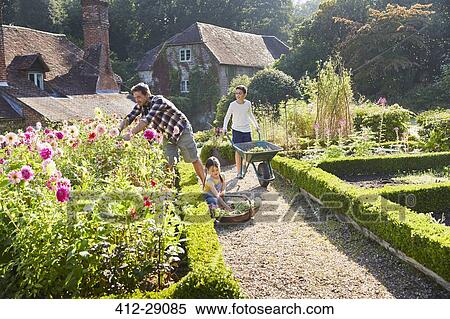Family gardening in sunny flower garden View Large Photo Image Stock Photography - Family gardening in sunny flower garden. Fotosearch