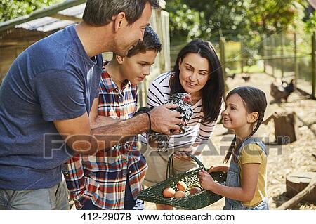 Stock Photo - Family harvesting fresh eggs from chicken outside coop. Fotosearch
