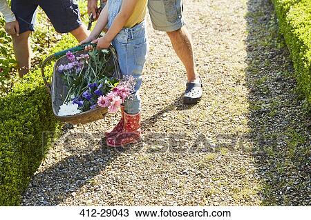 Stock Image - Family picking flowers in garden. Fotosearch