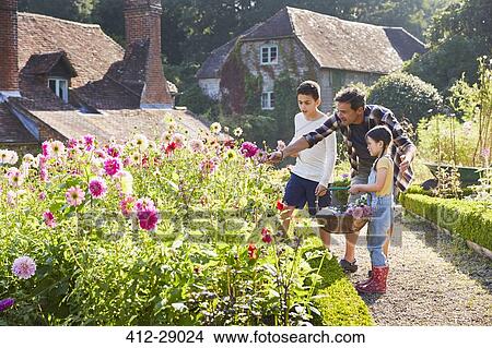 Picture - Family picking flowers in sunny garden. Fotosearch