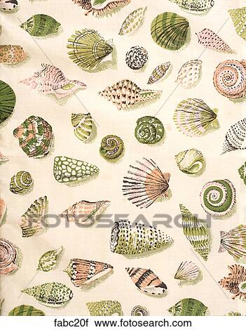 Style: Shells Different shape sea shells on White background Fabrics View Large Photo Image Stock Image - Style: Shells Different shape sea shells on White background Fabrics . Fotosearch
