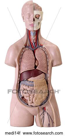 Stock Image - . Fotosearch