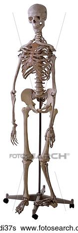 Stock Photograph - . Fotosearch