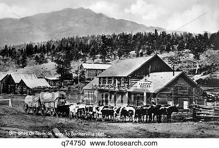 Stock Image - 1880S 1800S 1881 Bill Bose Ox Team On Way To Barkerville Covered Wagon Clinton Frontier Hotel From Old Postcard Canada. Fotosearch
