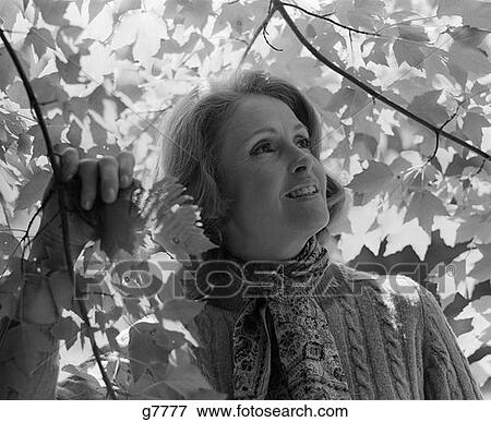 1970S Close-Up Of Woman Standing Under Tree Surrounded By Leaves Pulling Down Branch & Looking Off To Side View Large Photo Image Stock Photo - 1970S Close-Up Of Woman Standing Under Tree Surrounded By Leaves Pulling Down Branch & Looking Off To Side . Fotosearch