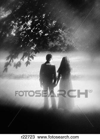 1970S Rear View Soft-Focus Shot Of Couple Standing Under Tree Holding Hands View Large Photo Image Stock Image - 1970S Rear View Soft-Focus Shot Of Couple Standing Under Tree Holding Hands . Fotosearch