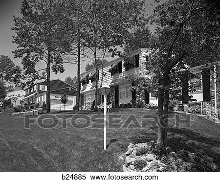 1970S Suburban Community With Trees Manicured Lawns & Awnings On Windows View Large Photo Image Stock Photography - 1970S Suburban Community With Trees Manicured Lawns & Awnings On Windows . Fotosearch