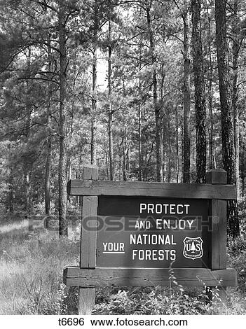 1980S Sign In Front Of Wooded Area Reading Protect And Enjoy Your National Forests View Large Photo Image Stock Photograph - 1980S Sign In Front Of Wooded Area Reading Protect And Enjoy Your National Forests . Fotosearch