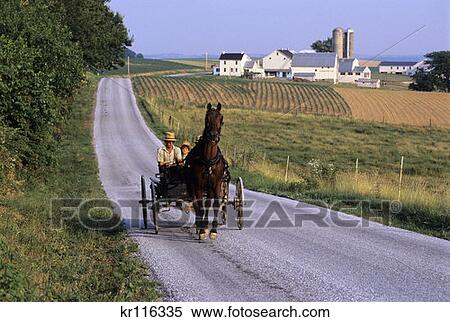 1990S Pennsylvania Amish Boys In Horse Drawn Cart On Rural Road View Large Photo Image Stock Photography - 1990S Pennsylvania Amish Boys In Horse Drawn Cart On Rural Road. Fotosearch