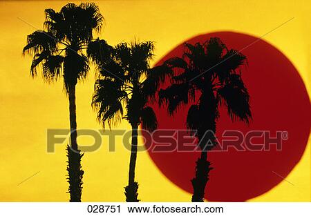 3 Silhouetted Palm Trees Against Yellow Sky With Big Red Sun View Large Photo Image Stock Image - 3 Silhouetted Palm Trees Against Yellow Sky With Big Red Sun . Fotosearch
