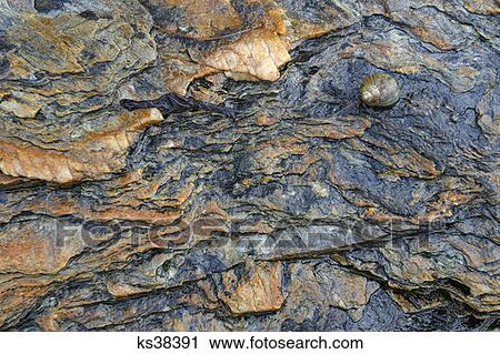 Acadia National Park, Maine Close Up Of Rock View Large Photo Image Stock Image - Acadia National Park, Maine Close Up Of Rock. Fotosearch