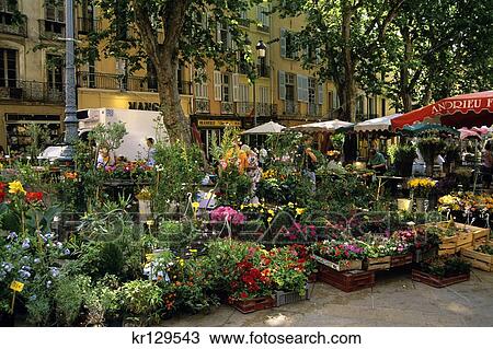 Aix En Provence France Outdoor Flower Market View Large Photo Image Stock Image - Aix En Provence France Outdoor Flower Market . Fotosearch