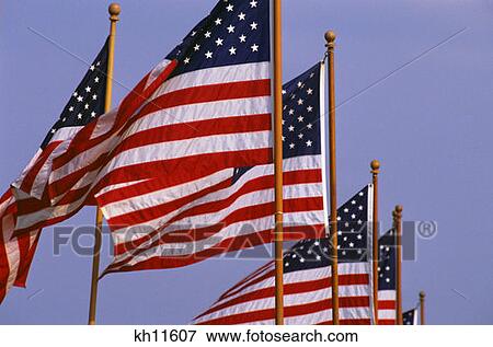 American Flags View Large Photo Image Stock Photo - American Flags. Fotosearch