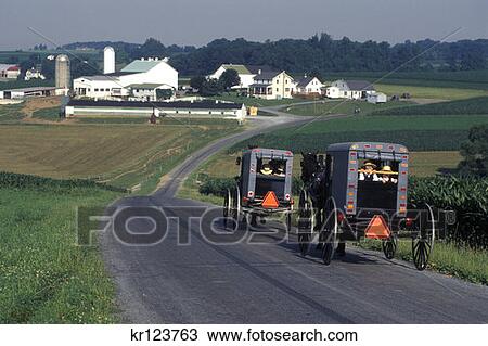 Amish Children Riding In Horse Drawn Buggies Lancaster County Pennsylvania View Large Photo Image Stock Image - Amish Children Riding In Horse Drawn Buggies Lancaster County Pennsylvania . Fotosearch