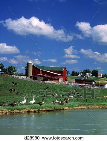 Amish Farm Bunker Hill Ohio View Large Photo Image Stock Image - Amish Farm Bunker Hill Ohio . Fotosearch