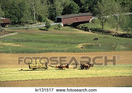 Stock Photo - Amish Lancaster County Pennsylvania Horse Harvest . Fotosearch