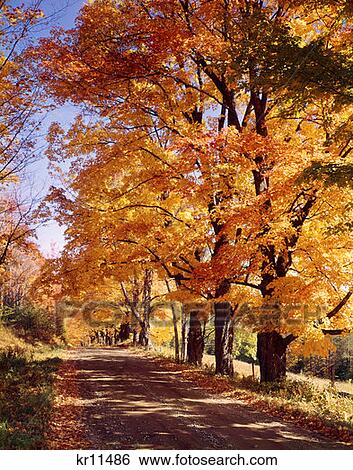 Autumn Country Road View Large Photo Image Stock Photograph - Autumn Country Road. Fotosearch