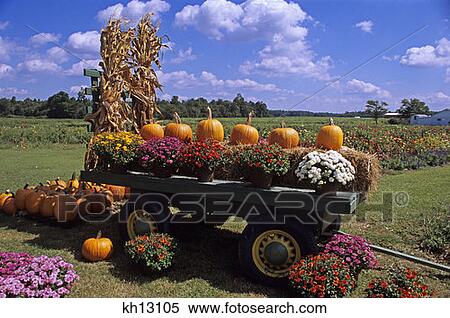 Autumn Harvest Display At Roadside Produce Market Wagon With Flowers Pumpkins And Bales Of Hay  View Large Photo Image Stock Photography - Autumn Harvest Display At Roadside Produce Market Wagon With Flowers Pumpkins And Bales Of Hay . Fotosearch