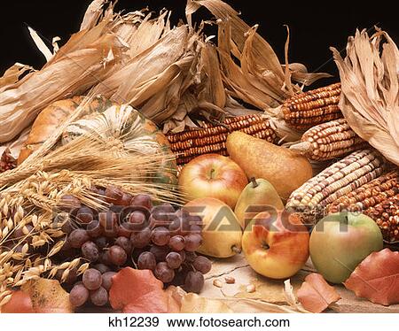 Stock Photo - Autumn Harvest Fruits And Grains . Fotosearch
