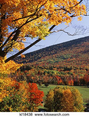 Autumn Scenic Jackson View Large Photo Image Stock Photo - Autumn Scenic Jackson. Fotosearch