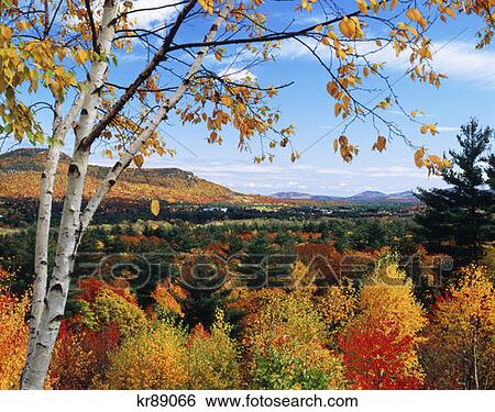 Stock Photograph - Autumn Scenic North Conway Nh. Fotosearch