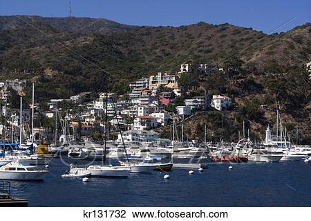 Avalon Harbor California View Large Photo Image Stock Image - Avalon Harbor California . Fotosearch