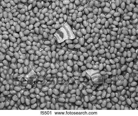 Baked Beans Retro View Large Photo Image Stock Image - Baked Beans Retro. Fotosearch