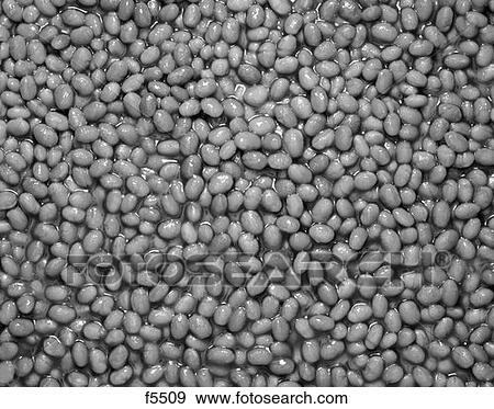 Baked Beans Retro View Large Photo Image Stock Photo - Baked Beans Retro. Fotosearch