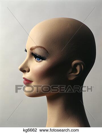 Bald Female Head Profile Mannequin Dummy View Large Photo Image Stock Image - Bald Female Head Profile Mannequin Dummy. Fotosearch