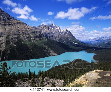 Banff Np, Alberta, Canada Peyto Lake View Large Photo Image Stock Image - Banff Np, Alberta, Canada Peyto Lake. Fotosearch