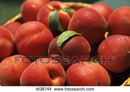 Picture - Basket Of Ripe Peaches Close Up . Fotosearch