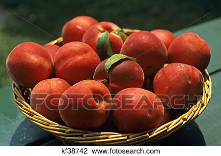 Stock Image - Basket Of Ripe Peaches . Fotosearch