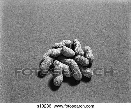 Beech Nuts Peanuts Shell Retro View Large Photo Image Stock Photograph - Beech Nuts Peanuts Shell Retro. Fotosearch
