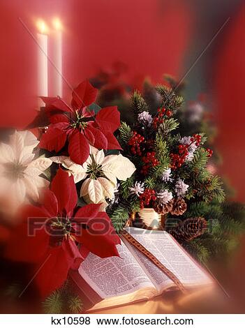 Bible Pointsettia Candles Religion Religious Holiday View Large Photo Image Stock Photo - Bible Pointsettia Candles Religion Religious Holiday. Fotosearch