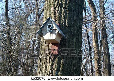 Stock Image - Birdhouse With Blue Roof On Tree Trunk . Fotosearch