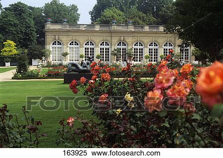 Stock Photography - Bois De Boulogne Rose Garden Paris. Fotosearch