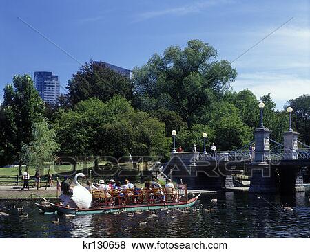 Stock Photo - Boston, Ma Boston Public Garden People Riding In Swan Boats. Fotosearch