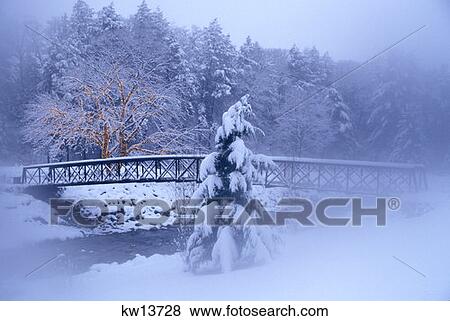 Bridge Over Stream In Snowy Woods Trees With Light View Large Photo Image Stock Photo - Bridge Over Stream In Snowy Woods Trees With Light . Fotosearch